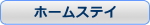 �z�[���X�e�C