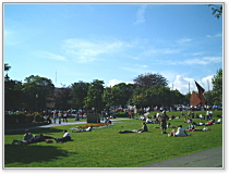 アイルランド留学