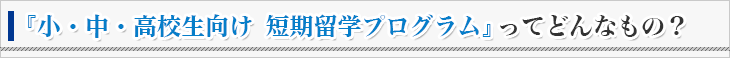 『小・中・高校生向け　短期留学プログラム』ってどんなもの？