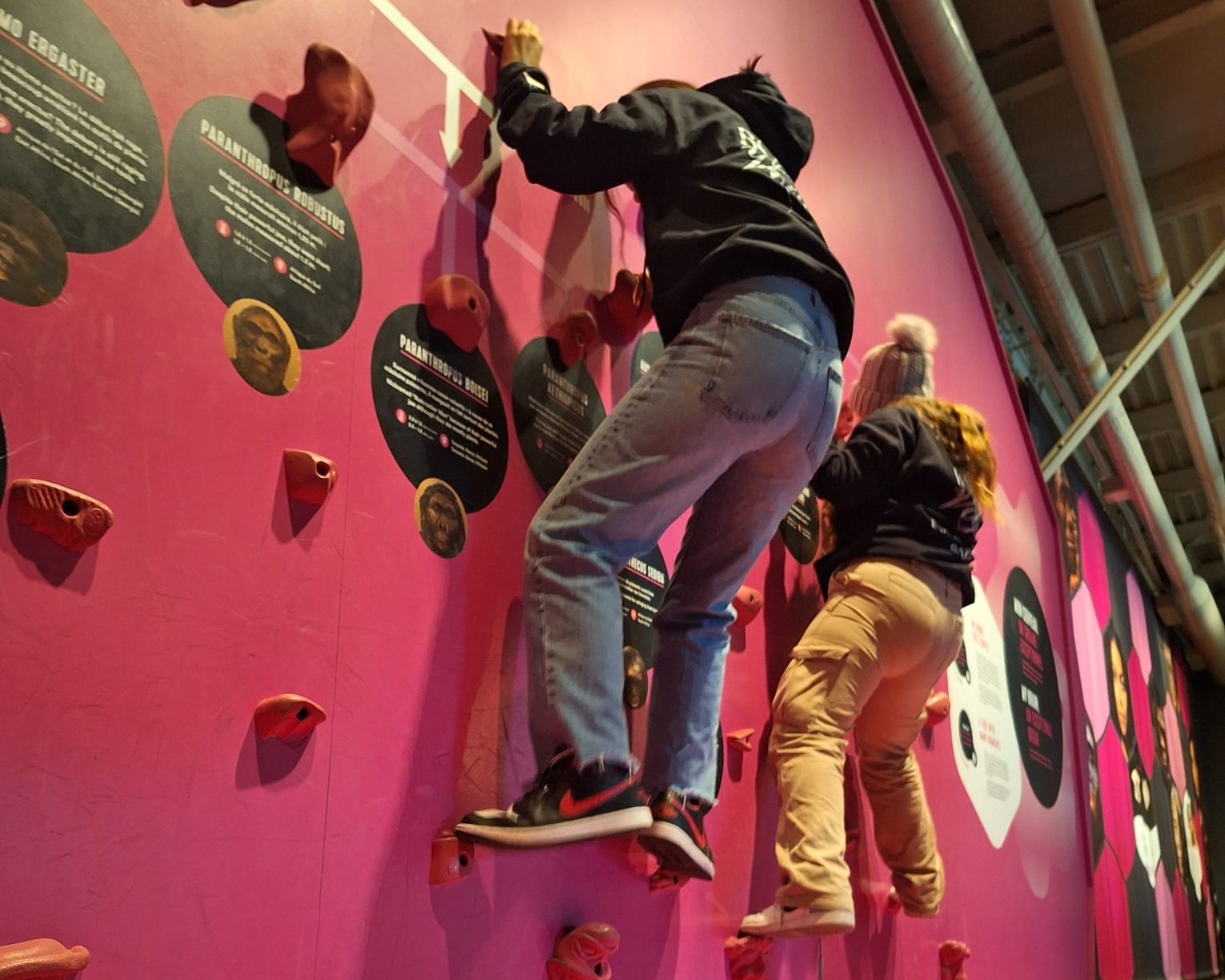 %e3%82%bf%e3%83%a0%e3%82%a6%e3%83%83%e3%83%89%e3%80%80%e3%83%88%e3%83%ad%e3%83%b3%e3%83%88-3