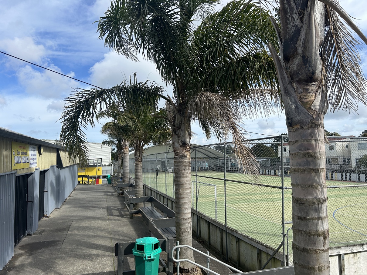 international-studey