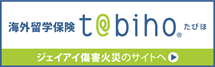 たびほネット専用リスク細分型海外旅行保険