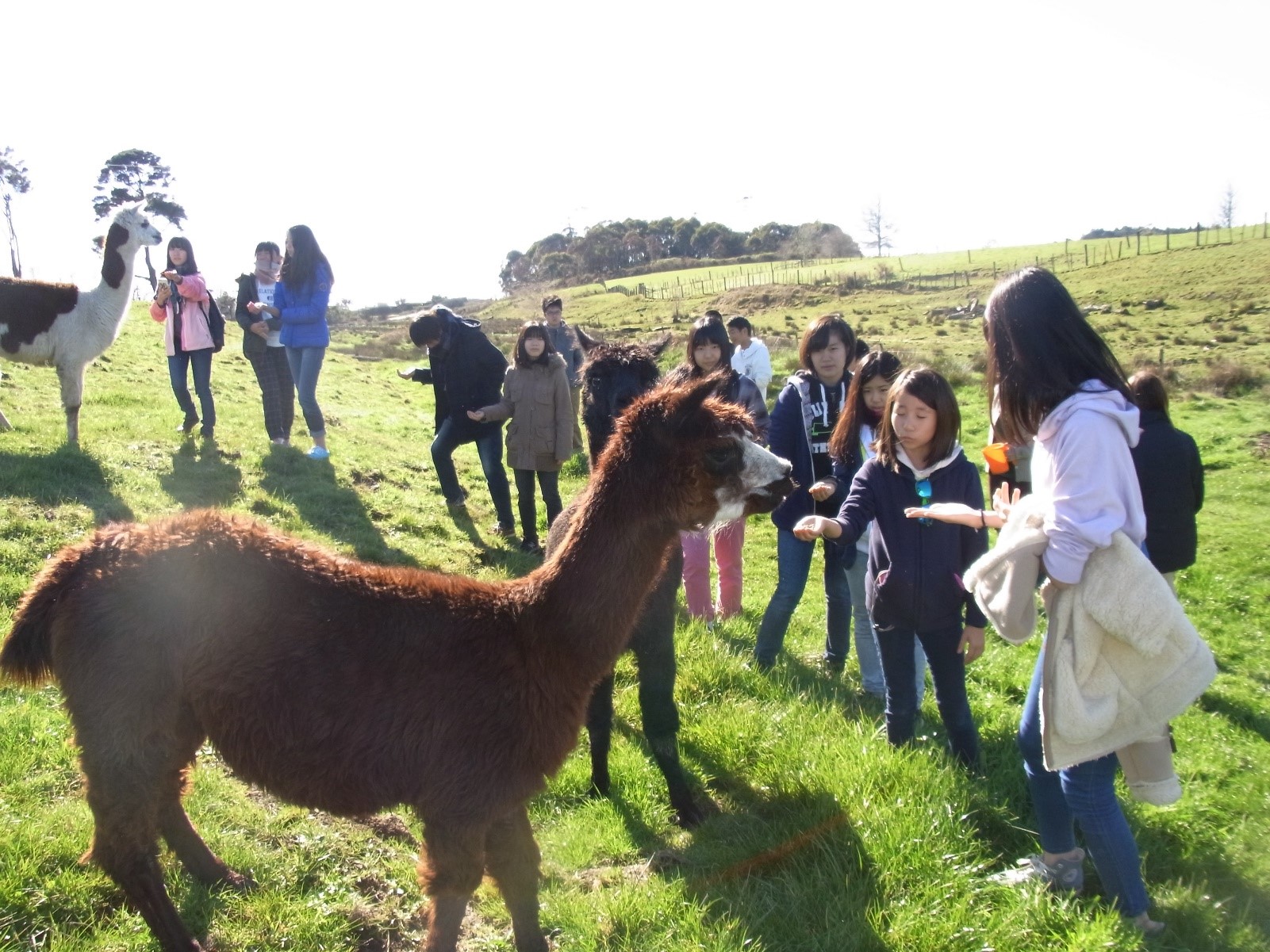 Waiuku College　（ワイウク　カレッジ）4